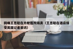 网曝王思聪在方舱医院隔离（王思聪在酒店接受英国记者采访）