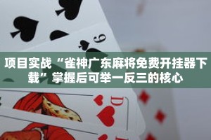 项目实战“雀神广东麻将免费开挂器下载”掌握后可举一反三的核心