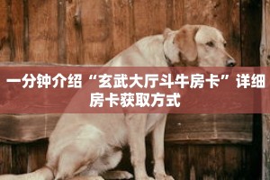 秒懂百科“神盾大厅拼三张房卡”详细购买房卡教程