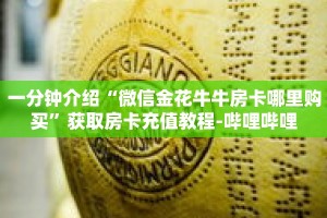 一分钟介绍“微信金花牛牛房卡哪里购买”获取房卡充值教程-哔哩哔哩