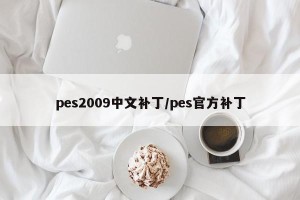 pes2009中文补丁/pes官方补丁