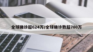 全球确诊超624万/全球确诊数超700万