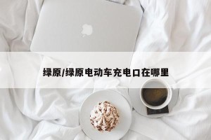 绿原/绿原电动车充电口在哪里