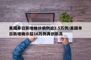 美国单日新增确诊病例逾2.5万例/美国单日新增确诊超16万例再创新高
