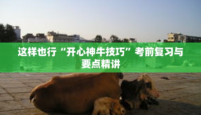 秒懂教程“皇豪互众房卡如何购买”获取房卡充值教程-哔哩哔哩