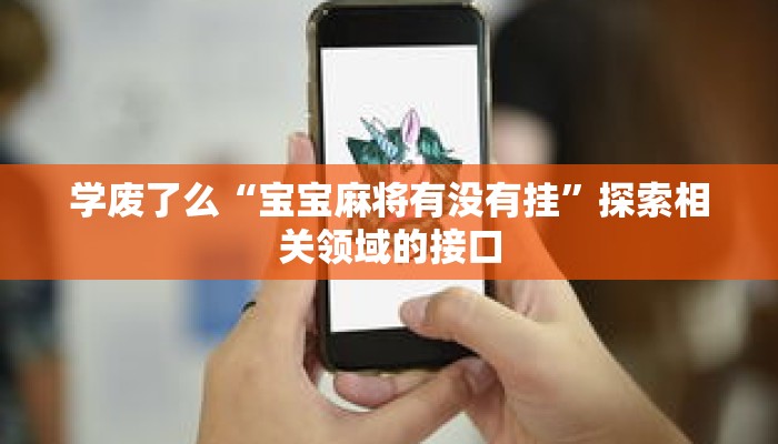 学废了么“宝宝麻将有没有挂”探索相关领域的接口
