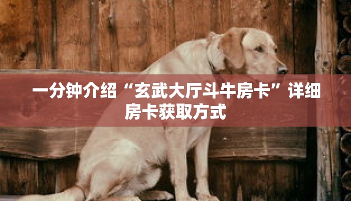 秒懂百科“神盾大厅拼三张房卡”详细购买房卡教程