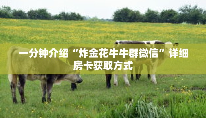 一分钟介绍“炸金花牛牛群微信”详细房卡获取方式 一分钟介绍“炸金花牛牛群微信”详细房卡获取方式