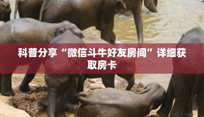 科普分享“微信斗牛好友房间”详细获取房卡 科普分享“微信斗牛好友房间”详细获取房卡