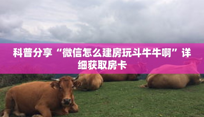 科普分享“微信怎么建房玩斗牛牛啊”详细获取房卡 科普分享“微信怎么建房玩斗牛牛啊”详细获取房卡