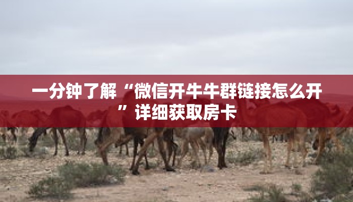 一分钟了解“微信开牛牛群链接怎么开”详细获取房卡