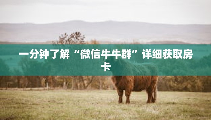 一分钟了解“微信牛牛群”详细获取房卡