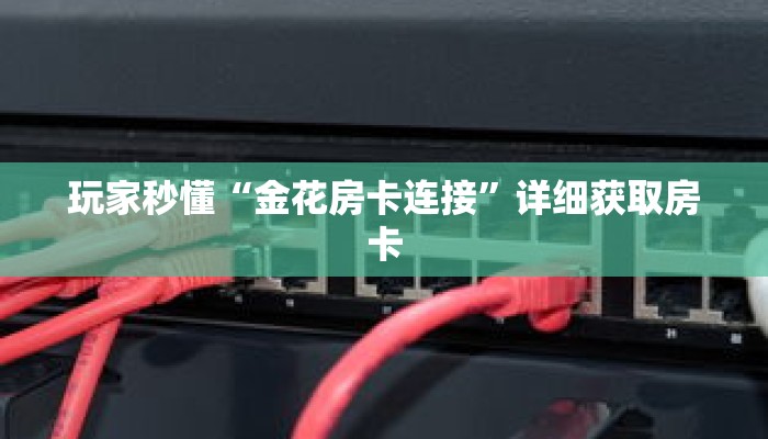 玩家秒懂“金花房卡连接”详细获取房卡