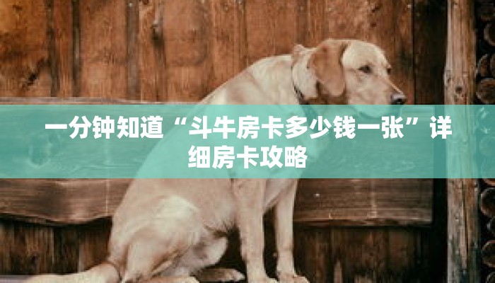 一分钟知道“斗牛房卡多少钱一张”详细房卡攻略